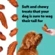 Product Wiggles & Wags Sweet Potato Veggie Slices Dog Treats 8 OZ
