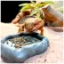 Zoo Med Adult Dragon Food image thumbnail 5