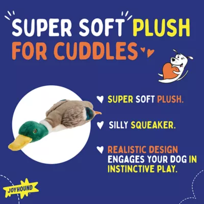 Petsmart duck toy best sale