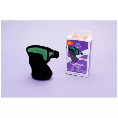 Product Calm Paws Recovery Boot
