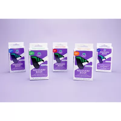 Product Calm Paws Recovery Boot