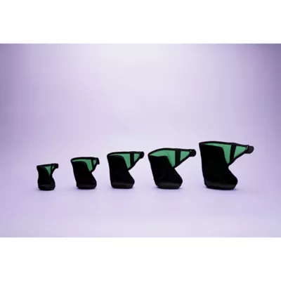 Product Calm Paws Recovery Boot