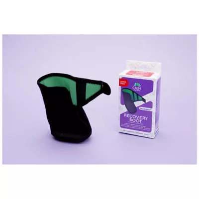 Product Calm Paws Recovery Boot