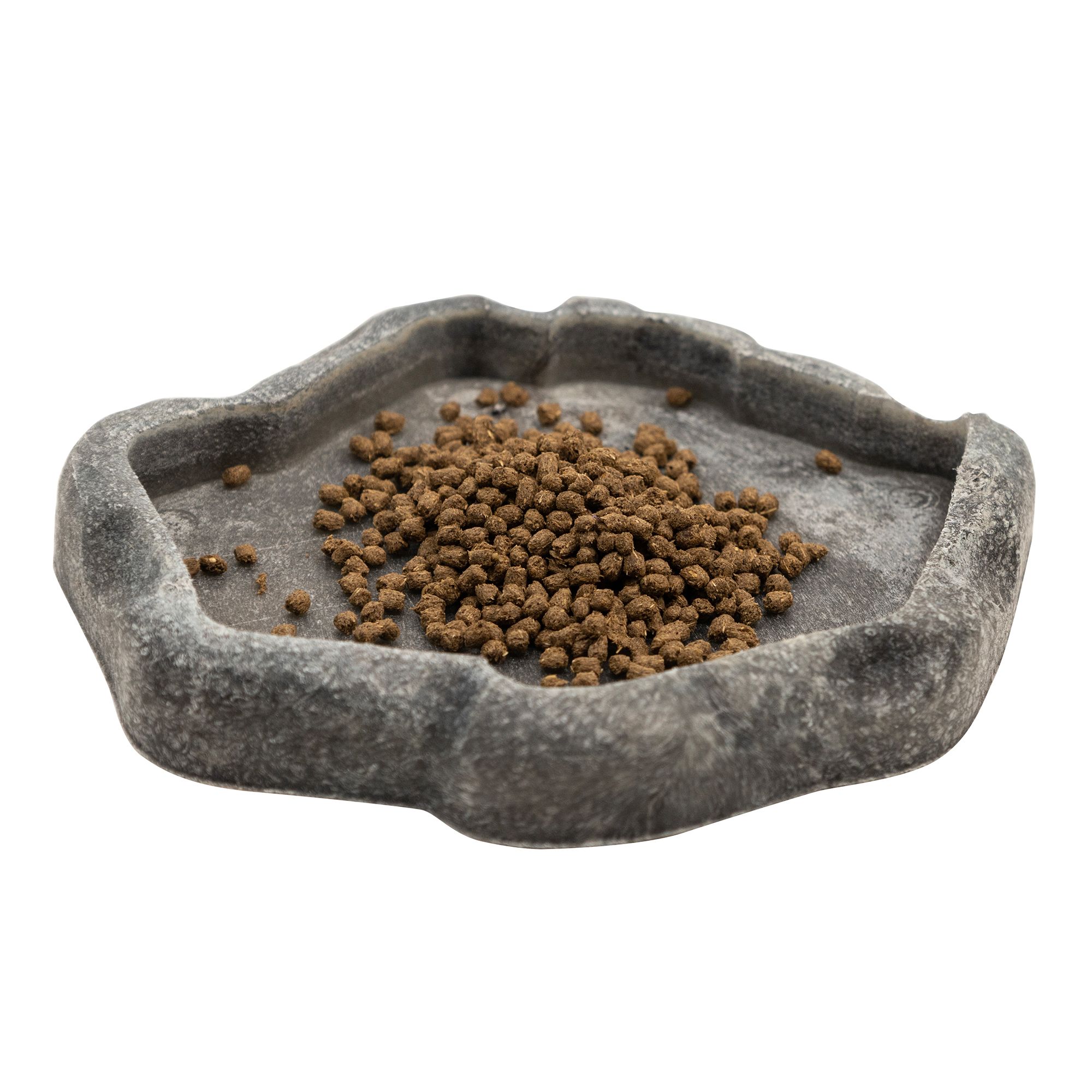 Zoo Med Juvenile Dragon Food - Juvenile Bearded Dragon Food - 4.5 oz - thumbnail 4