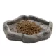 Product Zoo Med Juvenile Dragon Food