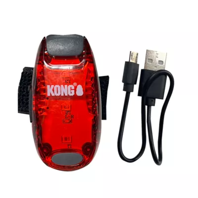 Product KONG® Safety Light