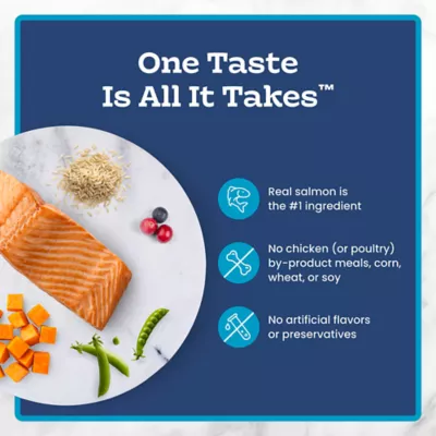 Blue Buffalo Tastefuls Adult Indoor Cat Dry Food - Natural, Salmon & Brown Rice - Image 6