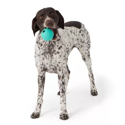 Product Joyhound® Large Ball Dog Toy