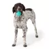 Joyhound® Large Ball Dog Toy image thumbnail 3