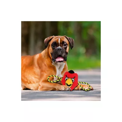 Product Pets First NBA Atlanta Hawks Mascot Rope Dog Toy