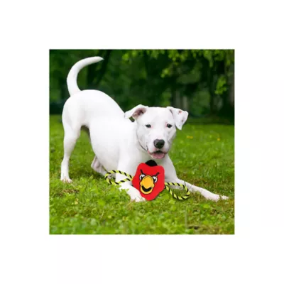 Product Pets First NBA Atlanta Hawks Mascot Rope Dog Toy