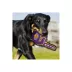 Pets First NBA LA Lakers #1 Fan Dog Toy image thumbnail 3