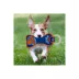 Pets First NBA NY Knicks Dental Ring Dog Toy image thumbnail 3