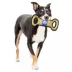 Pets First NBA 76ers Court Dog Toy image thumbnail 2
