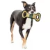 Pets First NBA Milwaukee Bucks Court Dog Toy image thumbnail 2