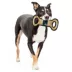 Pets First NBA Utah Jazz Court Dog Toy image thumbnail 2