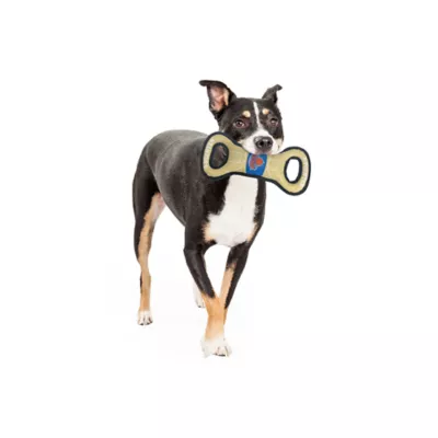 Product Pets First NBA NY Knicks Court Dog Toy