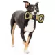 Product Pets First NBA Indiana Pacers Court Dog Toy