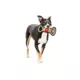 Product Pets First NBA Houston Rockets Nylon Court Dog Toy