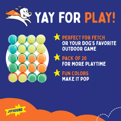 Product Joyhound® Game On 20-Pack Value Set of Balls Dog Toys