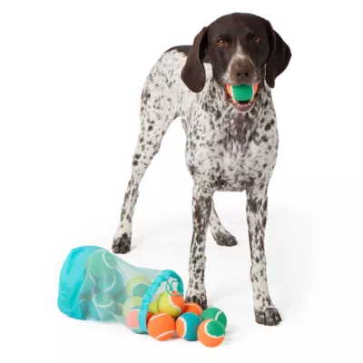 Product Joyhound® Game On 20-Pack Value Set of Balls Dog Toys