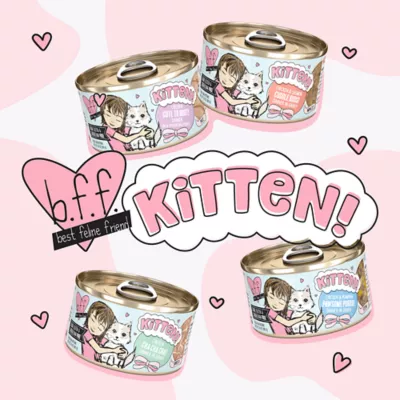 Product B.F.F. Kitten! Wet Cat Food - Grain Free, Pate in a Hydrating Puree, 2.8 Oz