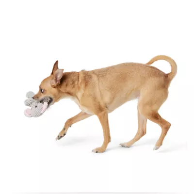 Product Joyhound®  Ball Belly Plush Elephant Dog Toy