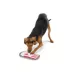 Joyhound® Rip Roarin' Tough Popcorn Dog Toy image thumbnail 3