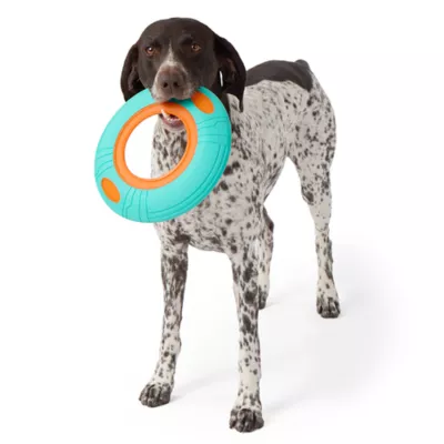 Product Joyhound® Disk Flyer Dog Toy