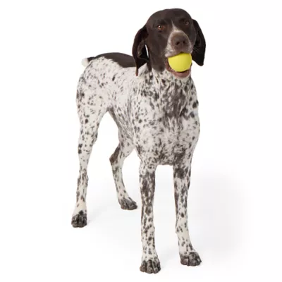 Product Joyhound® Small Ball Dog Toy