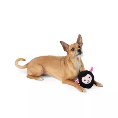 Product Joyhound Electronic Sheep Dog Toy