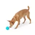 Joyhound® Electronic Bouncing Ball Dog Toy image thumbnail 3