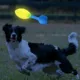 Product Nerf Dog Glow Vortex