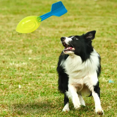 Nerf Dog Glow Vortex