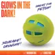 Product Nerf Dog Glow Checker Squeak and Crunch Ball