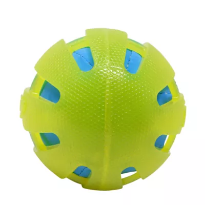 Petsmart squeaky ball best sale