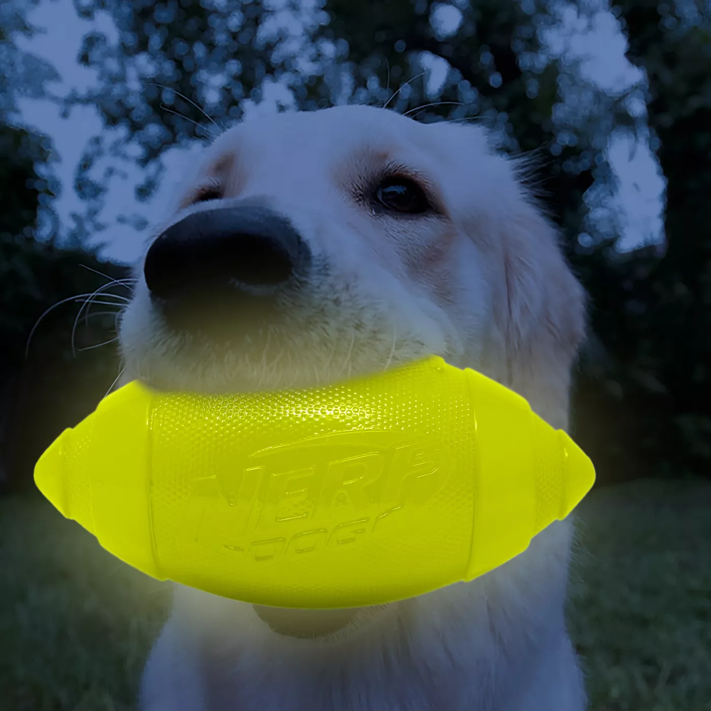 Nerf Dog Glow Football