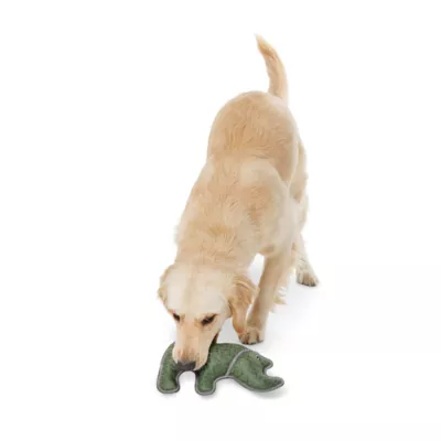 Product Joyhound Rip Roarin' Tough Rhino Dog Toy