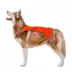 KONG® Ultra-Lite Dog Safety Vest image thumbnail 7