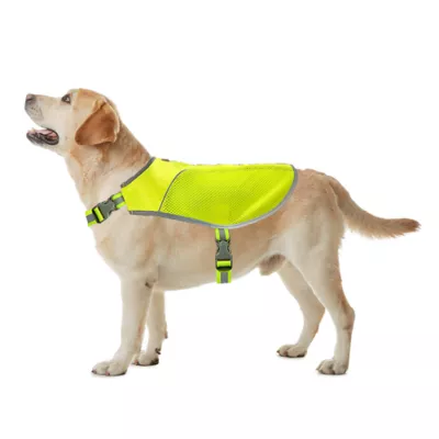 KONG® Hiker Dog Safety Vest - Image 6