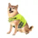 Product KONG® Mountain Dog Safety Hunting Vest