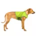 KONG® Mountain Dog Safety Hunting Vest image thumbnail 6