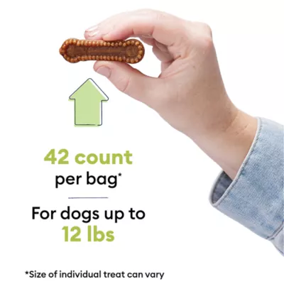 Wiggles & Wags Pumpkin Dental Chews Dog Treats 12 OZ - Image 2
