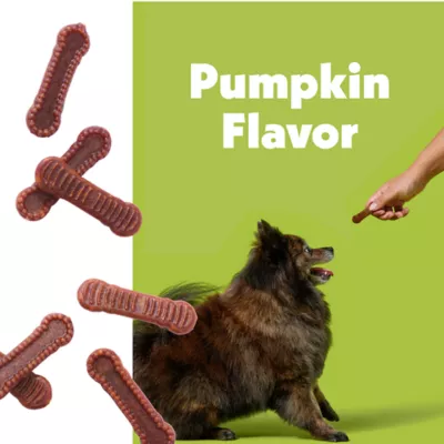 Wiggles & Wags Pumpkin Dental Chews Dog Treats 12 OZ - Image 3