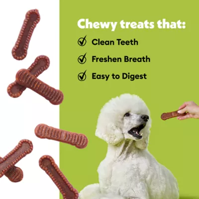 Product Wiggles & Wags Pumpkin Dental Chews Dog Treats 12 OZ