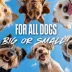 Nerf Dog 12-inch Compact Blaster Dog Toy image thumbnail 7