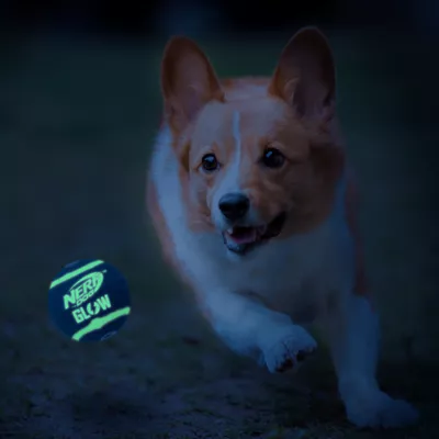 Product Nerf Dog Glow Tennis Balls 3 Pack