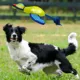 Product Nerf Dog Ultra-Plush Launching Duck Dog Toy