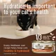 Product Wellness Core+ Adult Wet Food - Grain Free, Healthy Weight, 2.8 OZ
