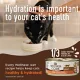 Product Wellness Core+ Adult Cat Food - Grain Free, Indoor, 2.8 Oz